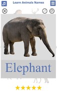 Learn Animals Names & Sounds screenshot 2