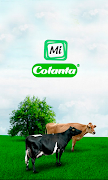 Mi COLANTA 海报