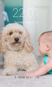 Puppy Dog Pattern Lock Screen  截图 4