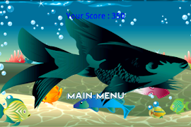 Catch Fish and Mermaid تصوير الشاشة 3