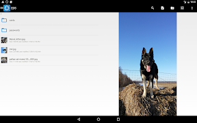 EDS Lite captura de pantalla 7