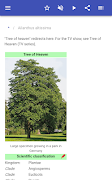 Ornamental trees screenshot 6