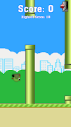 Taptap bird poster