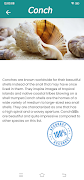 Shell identifier : snap shell স্ক্রিনশট 1
