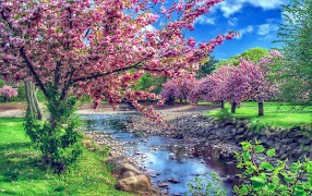 پوستر Smart HDR