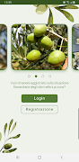 App Olivo screenshot 1