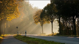 TvAdsNetwork screenshot 4