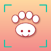 Animal Face Test: Look-Alike APK