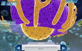 4 Schermata Cell World