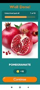 GTF : Guess the Fruit スクリーンショット 5