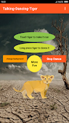 Talking Dancing Lion fun screenshot 5
