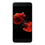 Fish Wallpaper screenshot 7