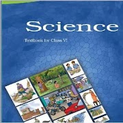 6th Science Notes 海报