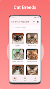 Cat Breeds Assistant poster
