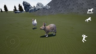 برنامه‌نما Rabbit Simulator 3D عکس از صفحه
