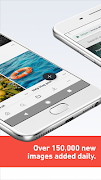 Shutterstock - Image & Video screenshot 7