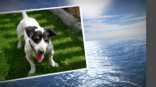 PhotoFlight Slideshow PRO screenshot 3