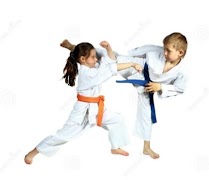 برنامه‌نما Best Karate Technique عکس از صفحه