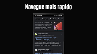 Lion Browser স্ক্রিনশট 5