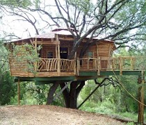 树屋设计vvvvvvvvvvvvvv 截圖 7