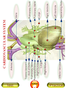 ANATOMY 3D - Human, Animal, Pl স্ক্রিনশট 1