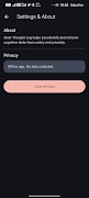 Clear Thought Log screenshot 2