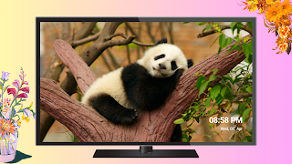 برنامه‌نما Memory Cast Screensaver for TV عکس از صفحه