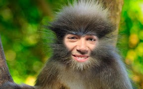 Divertido Marcos Para Fotos captura de pantalla 6