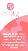 amicable co-parenting โปสเตอร์