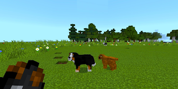 Dog Mod for Minecraft 海报
