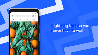 Secure Browser syot layar 3
