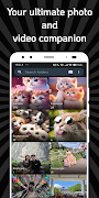 Cat Gallery poster