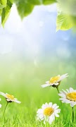 Green Spring Live Wallpaper 截圖 5