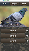 Crow calls Screenshot 3