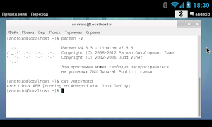 Linux Deploy স্ক্রিনশট 6
