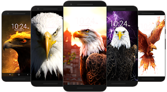 Adler Tapete HD Screenshot 1