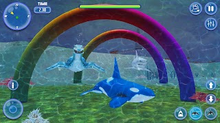 Orca Killer Whale Simulator スクリーンショット 4