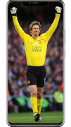 Edwin van der Sar Wallpapers скриншот 1