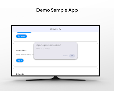 WebView TV Template اسکرین شاٹ 2