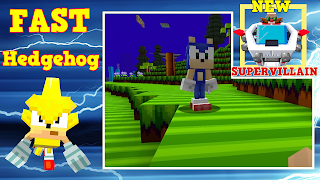 Fast hedgehog mod اسکرین شاٹ 5