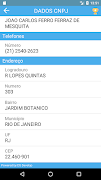 Consulta Empresa スクリーンショット 3