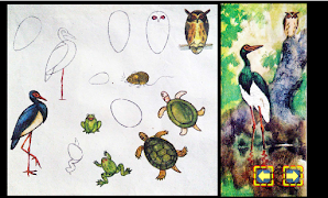 Drawing Tutorials ภาพหน้าจอ 6