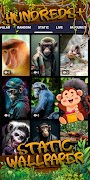 monkey wallpaper স্ক্রিনশট 4