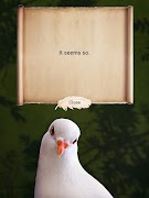 Destiny Dove screenshot 5