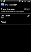 DNS forwarder-poster