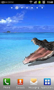Biting Crocodile LWP Screenshot 2