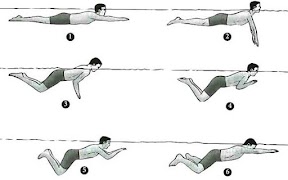 Swimming Technique For Beginne اسکرین شاٹ 1