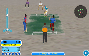 Beach Cricket ภาพหน้าจอ 4