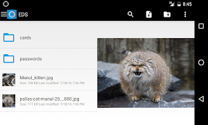 EDS Lite screenshot 5