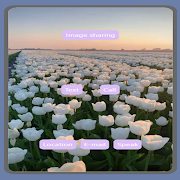 AA - Amber's App تصوير الشاشة 4